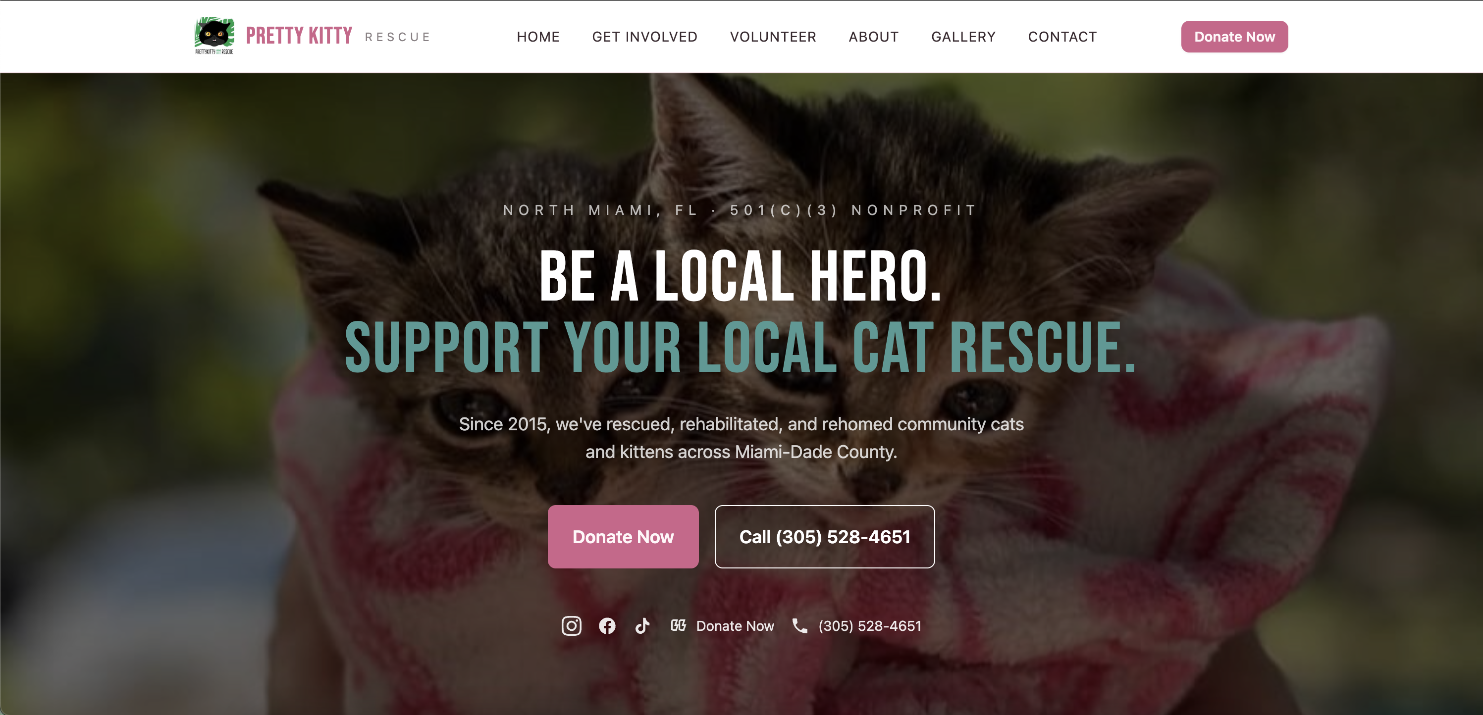Pretty Kitty Miami Rescue